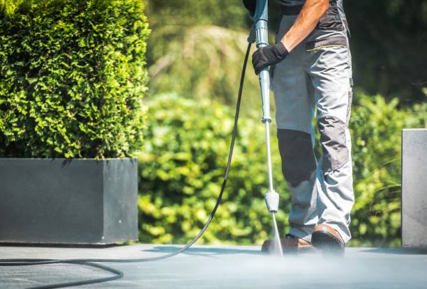 Best Dumpster Area Cleaning  in Norridge, IL