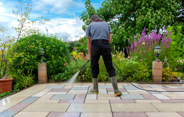 Best Spring Cleaning  in Norridge, IL